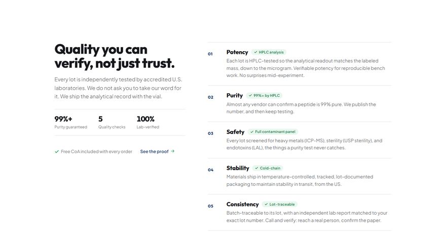 The built verify section
